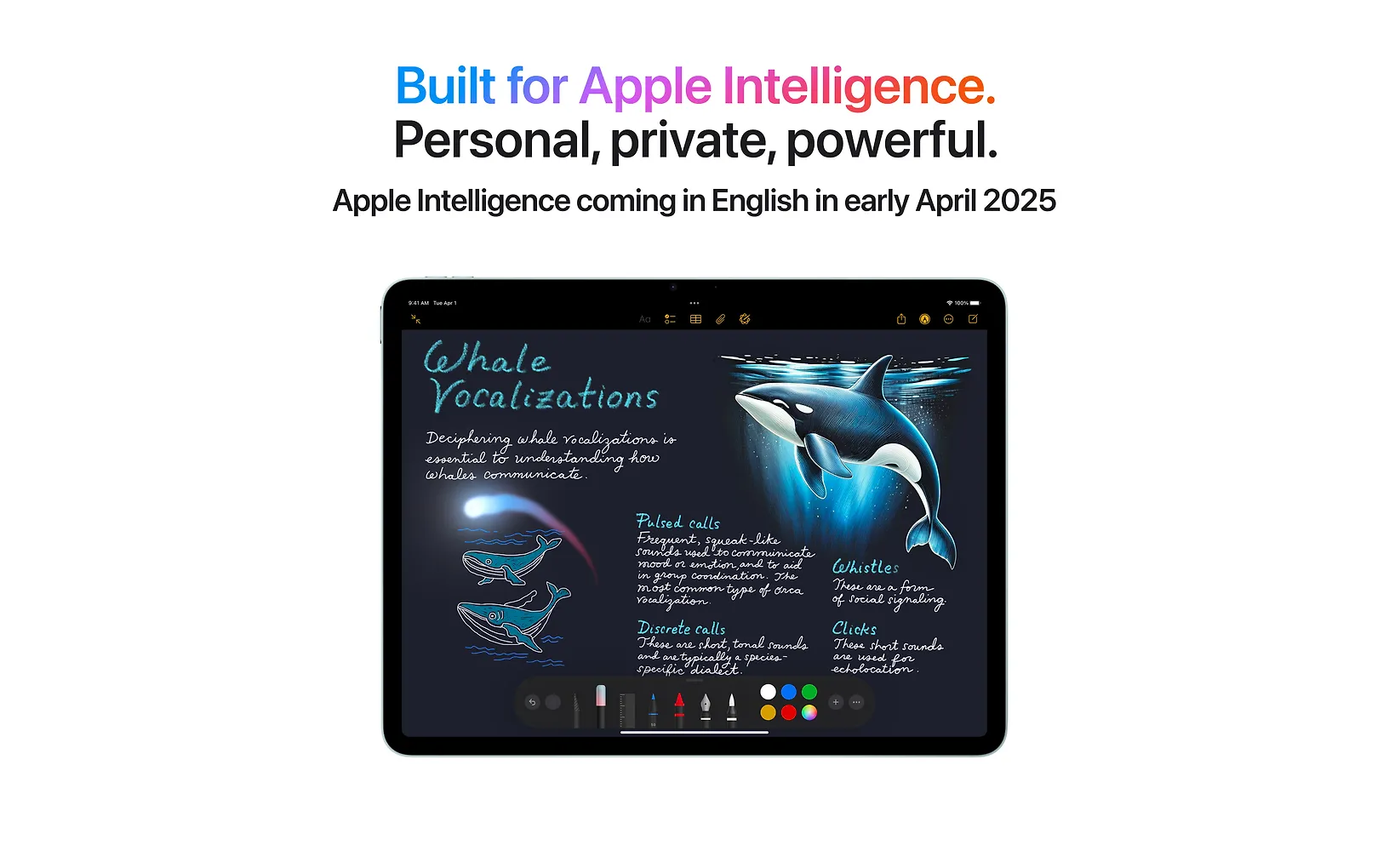Apple iPad Air 13" M3 128 Gt WiFi 2025, tähtiharmaa (MCNH4) - Image 4