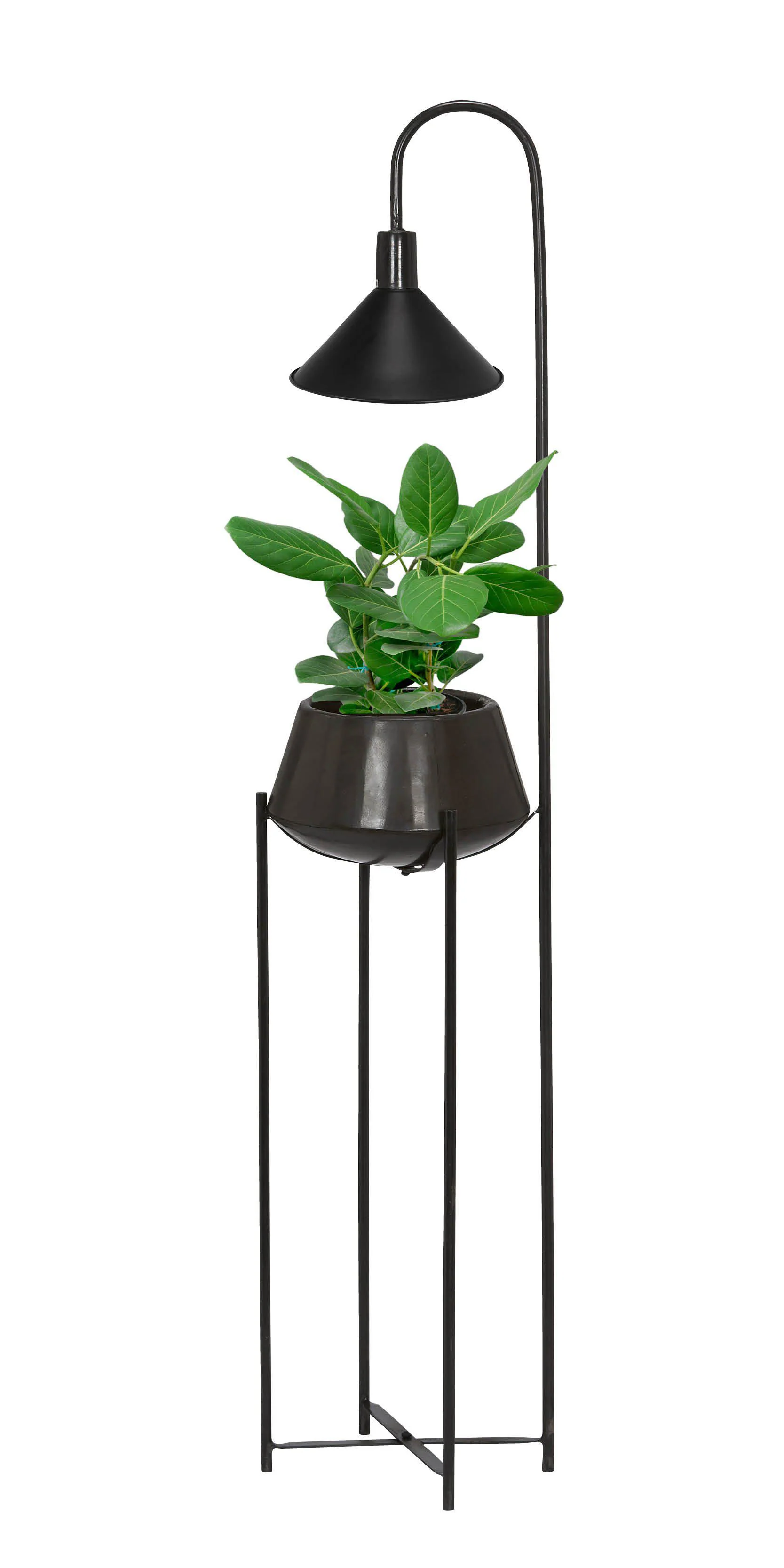 Cornelia kukkaruukku + valaisin - Image 3