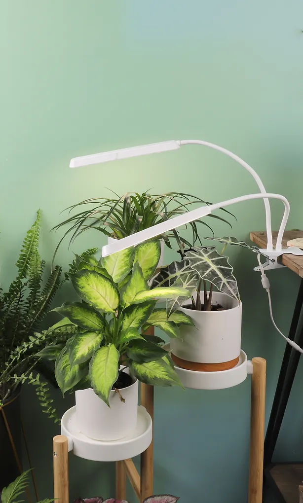Enne Duo Grow -kasvivalaisin, 16 W, 780 lm, valkoinen