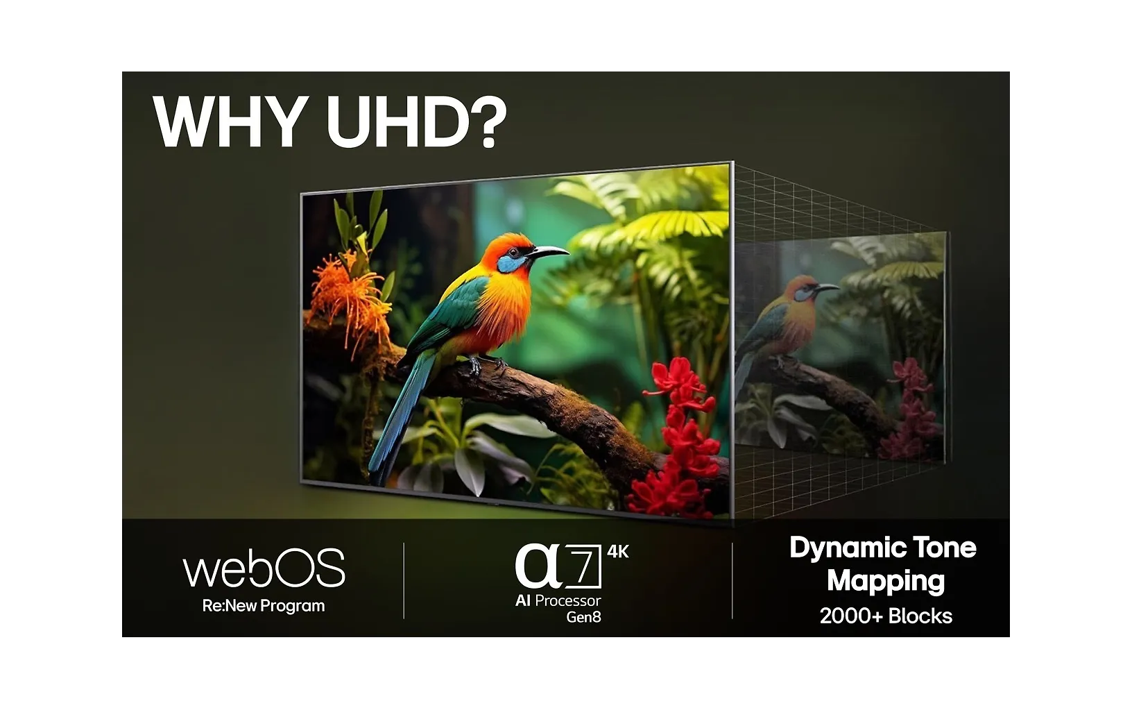 LG 50" UA73 – 4K LED TV - Image 10