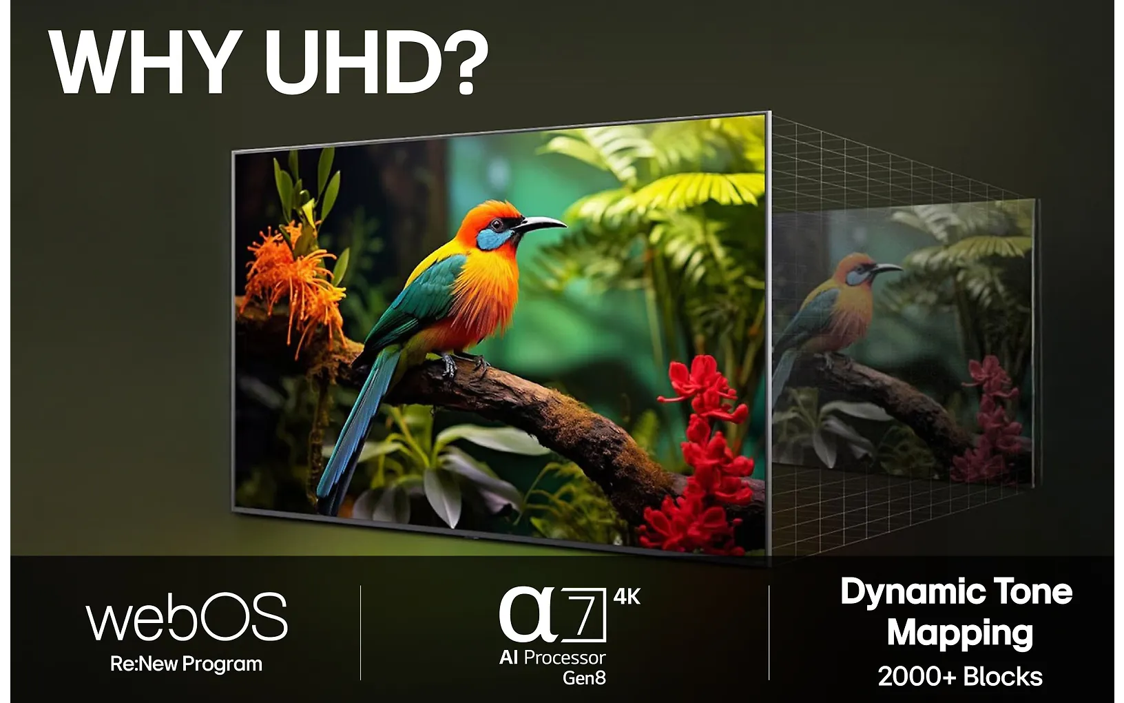 LG 75" UA75 – 4K LED TV - Image 14