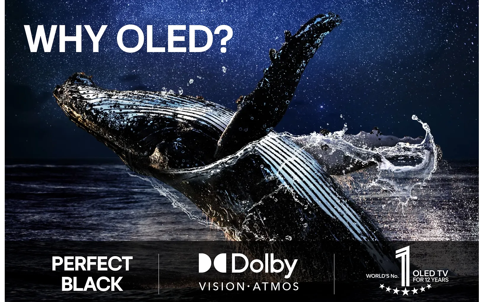 LG 77" OLED B5 – 4K TV - Image 19