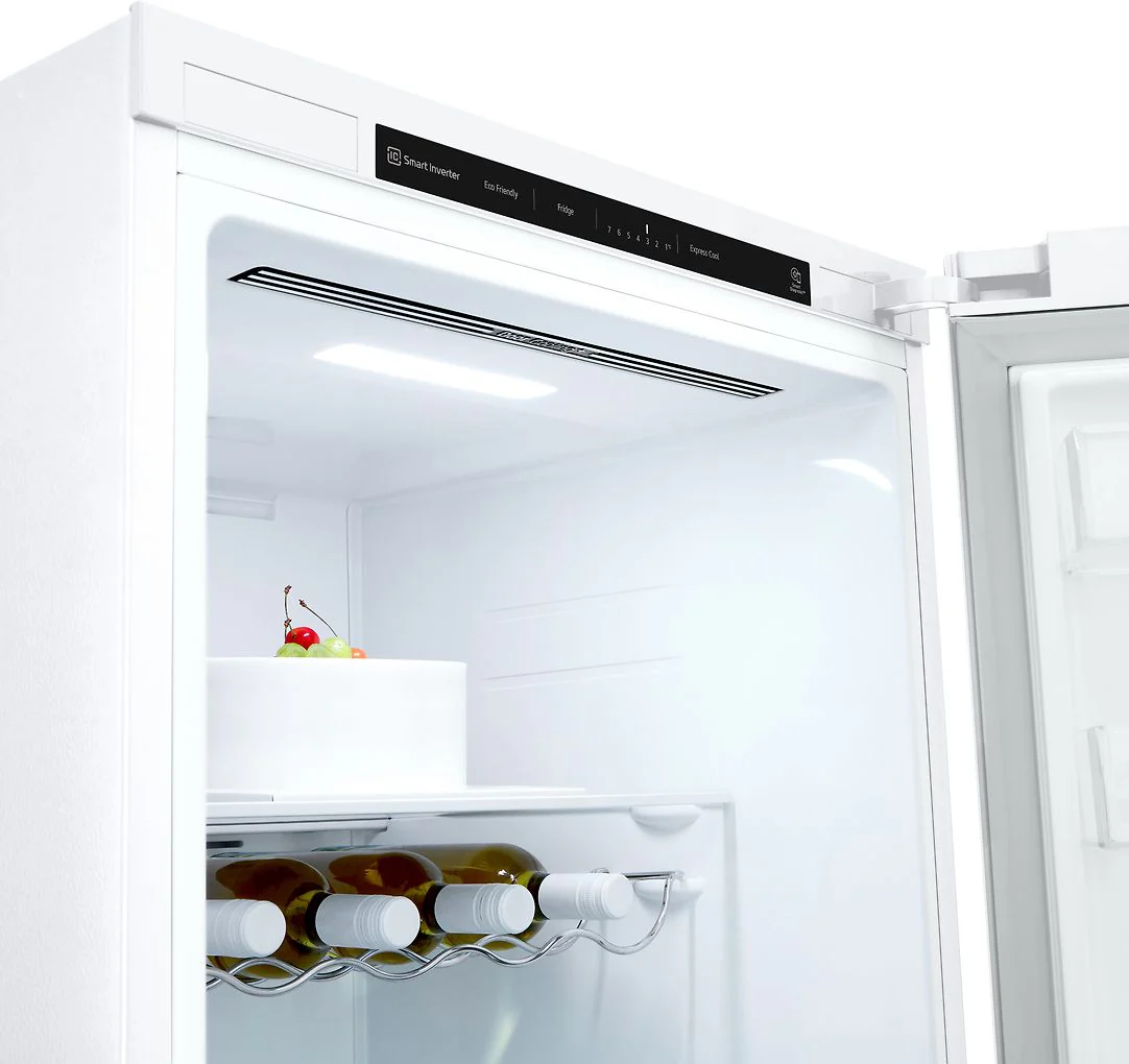 LG GLT51SWGSZ jääkaappi - Image 5